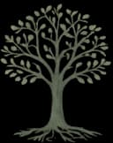 Facilitador Alquimia